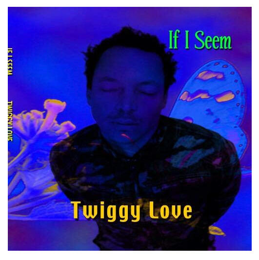If I Seem Album CD, Live recordings 1990-1991.